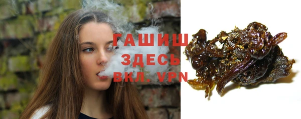 шишки Белокуриха