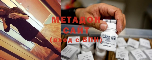 шишки Белокуриха