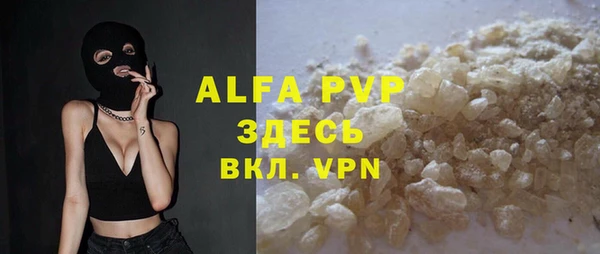 шишки Белокуриха