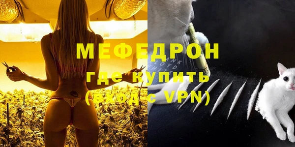 шишки Белокуриха