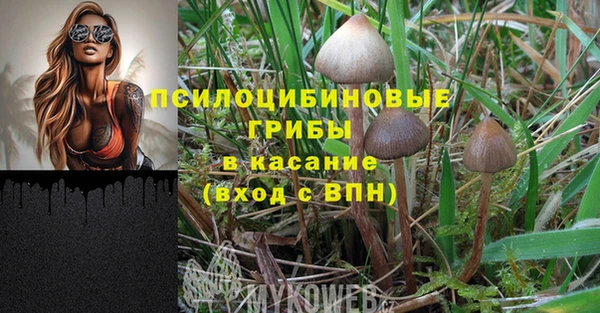 гидропоника Богородицк