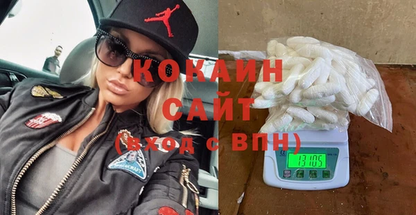 шишки Белокуриха