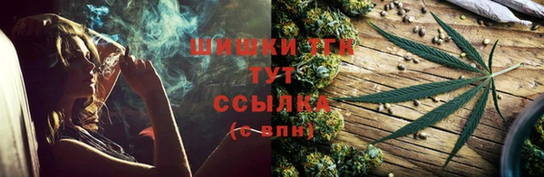 гидропоника Богородицк