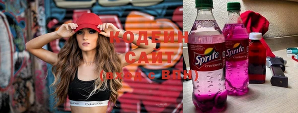 шишки Белокуриха