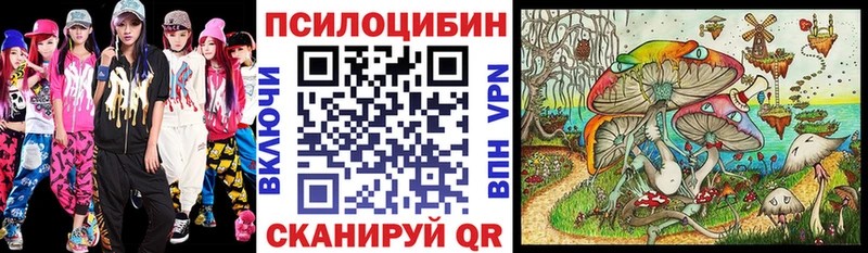 Псилоцибиновые грибы мухоморы  дарк нет состав  Междуреченск  цены наркотик 